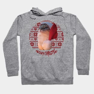 Findigo Merry 'Meowy Christmas' Present Shirt Hoodie